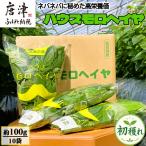 初穫れハウスモロヘイヤ 100g×10袋