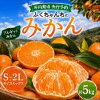 年内発送 ふくちゃんちのみかん サイズミックス 約5kg