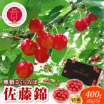 2027年産 GI東根 さくらんぼ 佐藤錦 200g×2P