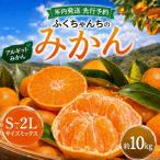年内発送 ふくちゃんちのみかん サイズミックス 約10kg