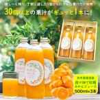 下津蔵出しみかん ジュース 500ml×3本