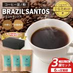 コーヒー 豆 粉 ブラジル サントス 中煎り 中細挽き 100g