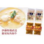 ふるさと納税 鮭・ほたて・花咲蟹シチュー2P、牛すじカレー2Pセット A-13008 北海道根室市