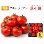 フルーツ トマト 小分け 8パック
