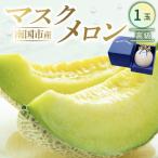 マスクメロン 高級 1玉入