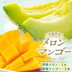 高級マスクメロン マンゴーセット