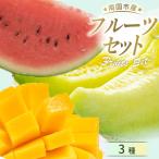 フルーツセット メロン スイカ マンゴー