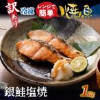 訳アリ焼魚 銀鮭塩焼 1kg