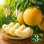 梨 幸水 約3kg