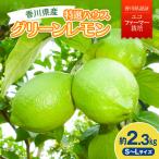 特選ハウスグリーンレモン 約2.3kg