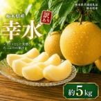 訳ありサイズランダム 幸水 5kg