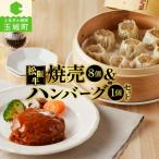 松阪牛ハンバーグと松阪牛ミンチカツのセット