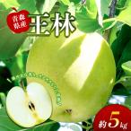りんご 王林 約5kg