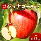 りんご ジョナゴールド 約5kg