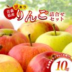 りんご 約10kg