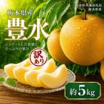 訳ありサイズランダム 豊水 5kg