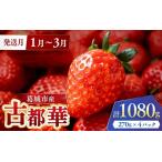 1~ 産古都華4パック