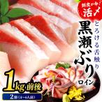 活じめ 黒瀬ぶりの生鮮ブリロイン2節 1.0kg前後