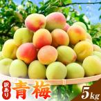 梅 訳あり 青梅 5kg
