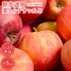 りんご 糖度選別葉とらずサンふじ 訳あり 約5kg