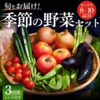 季節の野菜セット 3回 野菜定期便