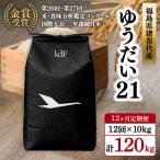 受付 ギネス認定 世界最高米R ゆうだい21