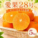 愛果28号 紅まどんな と同品種 約5kg