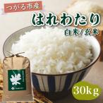 令和8年産 はれわたり 白米 玄米 30kg