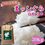 令和8年産 はれわたり 白米 玄米 20kg