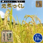 ブランド 米 元気つくし 5kg×2個