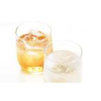 箔焼酎 箔梅酒セット