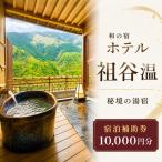 ホテル祖谷温泉 宿泊券 10 000円分