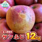米崎りんご サンふじ 約12kg