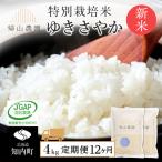 精米 特別栽培米 ゆきさやか2kg×2個セット