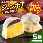 訳あり弁天堂ジャンボいきなり団子約100g×5個入りAYDG007