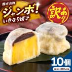 訳あり弁天堂ジャンボいきなり団子約100g×10個入りAYDG008