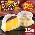 訳あり弁天堂ジャンボいきなり団子約100g×15個入りAYDG009