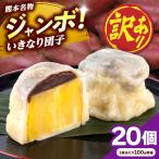 訳あり弁天堂ジャンボいきなり団子約100g×20個入りAYDG010