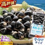 生産量日本一 宍道湖産 ヤマトシジミLLサイズ