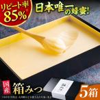 箱みつ 400g×5箱