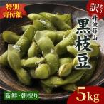 枝豆 訳あり 丹波黒枝豆 5kg