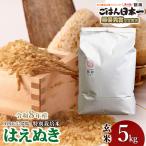 特別栽培米 はえぬき 5kg
