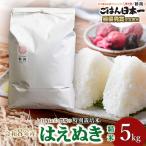 特別栽培米 はえぬき 5kg