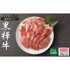 黒毛和牛 黒樺牛 焼肉用カルビ 計約500g 約250g×2回