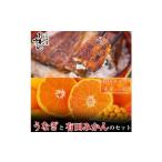 うなぎ蒲焼き大サイズ2本セット うなぎの肝吸い2食付き