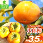 2026年度発送 産玉城次郎柿 約3.5kg