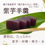 種子島 紫芋 羊羹 種子島ろまん NFN696