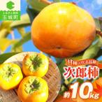 2026年度発送 産玉城次郎柿 約10kg