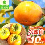2026年度発送 産玉城次郎柿 訳あり品 約10kg