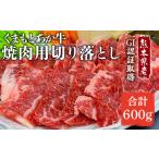 GI認証取得 くまもとあか牛 焼き肉用 切り落とし 600g